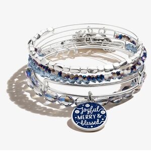 Alex and Ani Merry & Blessed Set